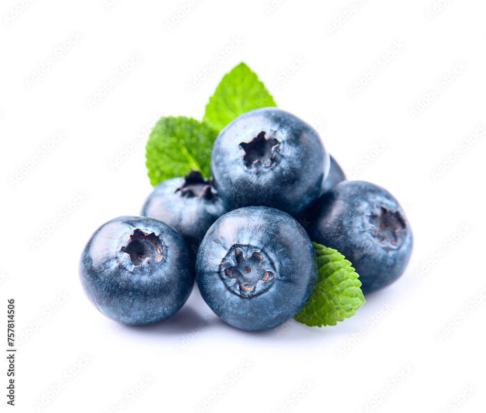Blueberries with mint on white backgrounds Blueberries with mint on white backgrounds