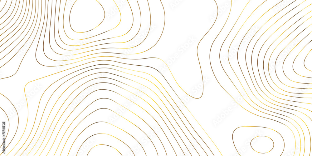 Fototapeta premium Topographic map background geographic line map pattern .panorama view golden color wave curve lines .geographic mountain relief abstract grid .the concept map of a conditional geography map .
