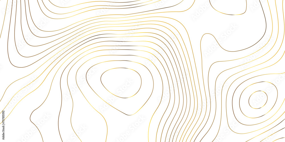 Topographic map background geographic line map pattern .panorama view golden color wave curve lines .geographic mountain relief abstract grid .the concept map of a conditional geography map . Topographic map background geographic line map pattern .panorama view golden color wave curve lines .geographic mountain relief abstract grid .the concept map of a conditional geography map .