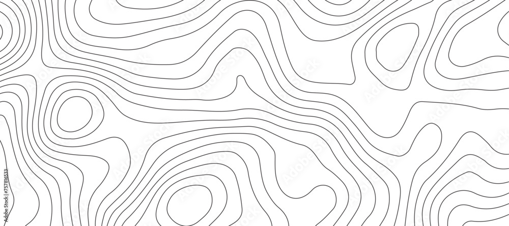 Topographic map background geographic line map pattern .panorama view black color wave curve lines .geographic mountain relief abstract grid .the concept map of a conditional geography map .