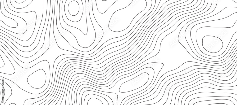 Topographic map background geographic line map pattern .panorama view black color wave curve lines .geographic mountain relief abstract grid .the concept map of a conditional geography map . - obrazy, fototapety, plakaty 