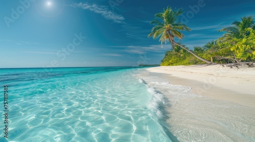 Tropical white sand beach. Beach by the sea surrounded by palm trees. Tropical paradise.