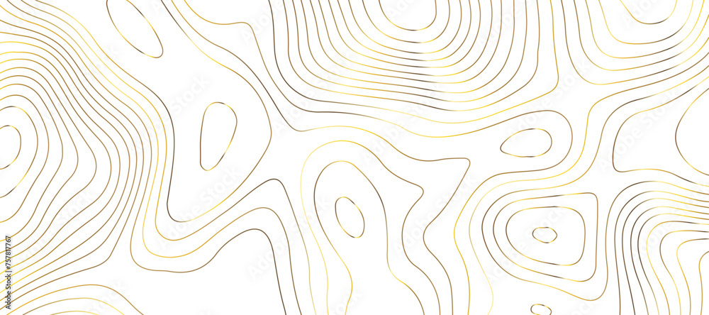 Topographic map background geographic line map pattern .panorama view golden color wave curve lines .geographic mountain relief abstract grid .the concept map of a conditional geography map .