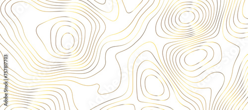 Topographic map background geographic line map pattern .panorama view golden color wave curve lines .geographic mountain relief abstract grid .the concept map of a conditional geography map .