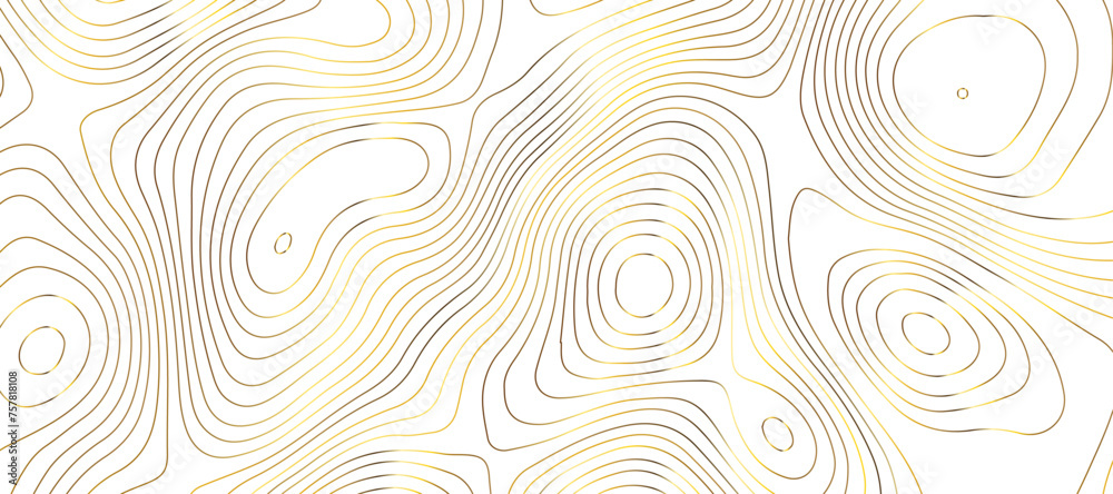 Topographic map background geographic line map pattern .panorama view golden color wave curve lines .geographic mountain relief abstract grid .the concept map of a conditional geography map . Topographic map background geographic line map pattern .panorama view golden color wave curve lines .geographic mountain relief abstract grid .the concept map of a conditional geography map .