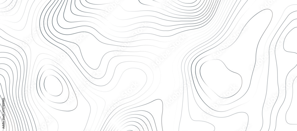 Fototapeta premium Topographic map background geographic line map pattern .panorama view black color wave curve lines .geographic mountain relief abstract grid .the concept map of a conditional geography map .