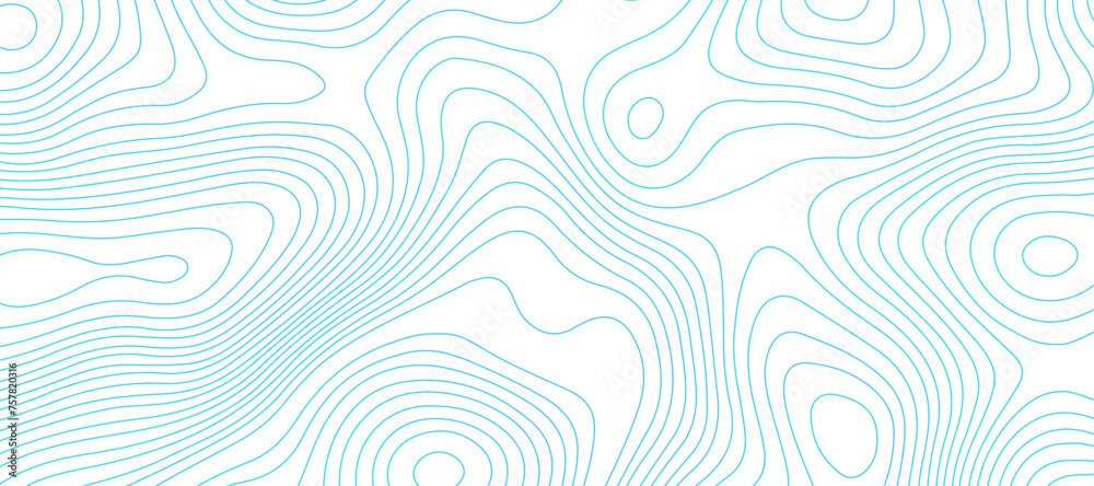 Topographic map background geographic line map pattern .panorama view blue color wave curve lines .geographic mountain relief abstract grid .the concept map of a conditional geography map . Topographic map background geographic line map pattern .panorama view blue color wave curve lines .geographic mountain relief abstract grid .the concept map of a conditional geography map .