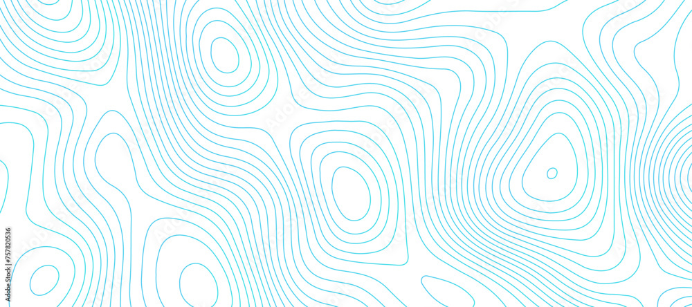 Topographic map background geographic line map pattern .panorama view blue color wave curve lines .geographic mountain relief abstract grid .the concept map of a conditional geography map .