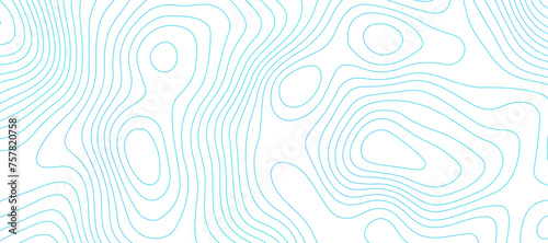 Topographic map background geographic line map pattern .panorama view blue color wave curve lines .geographic mountain relief abstract grid .the concept map of a conditional geography map .