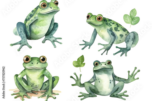 illustration cute Set white frogs Vector isolated watercolor