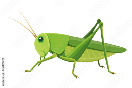 cartoon grasshopper on a transparent background
