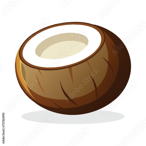 Coconut isolated flat vector illustration