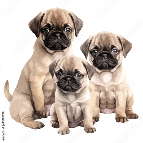 Pug Puppies Clipart Clipart isolated on white background