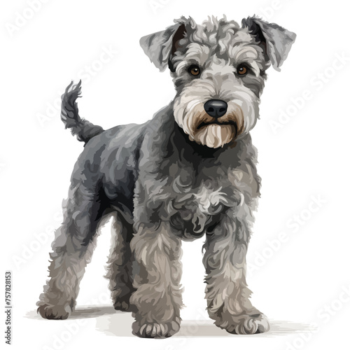 Pumi Clipart Clipart isolated on white background