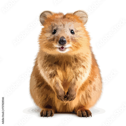 Quokka Clipart Clipart isolated on white background
