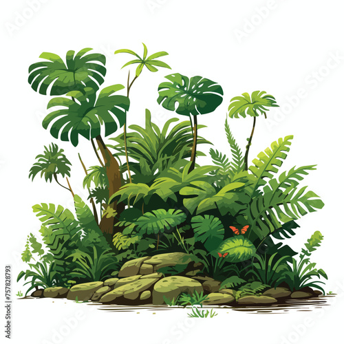 Rainforest Clipart Clipart isolated on white background