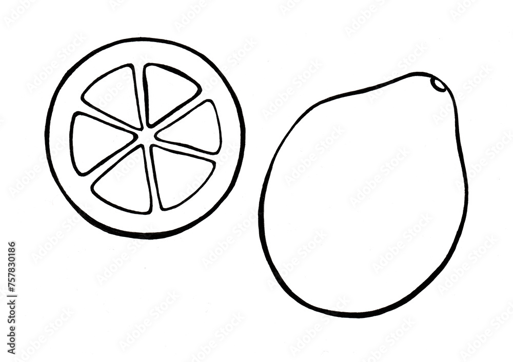 A set of two lemons. A whole lemon and a slice of a ring. Black outline drawing. Simplified illustration. Isolated on white background. Printmaking style.