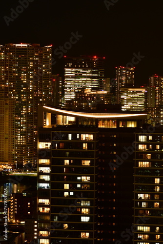 Tokyo at night scityscape from skyscraper river bridges © Andreas