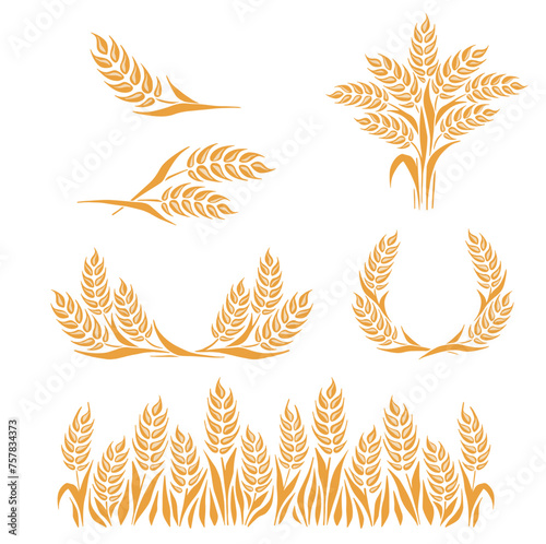 Grains plants and cereal, rye barley and wheat ear spikes. Bakery food concept. Hand drawn sketch vector illustration. Vector illustration