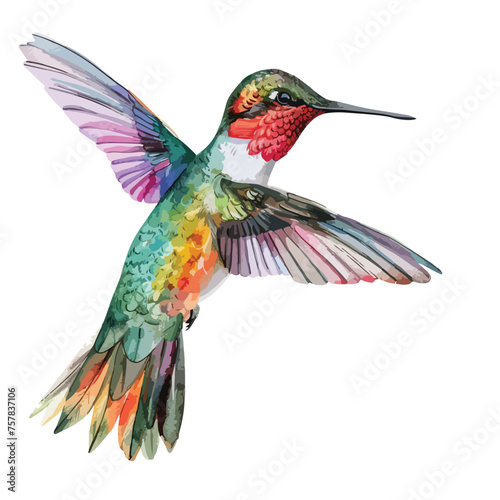 Watercolor Hummingbird Clipart isolated on white background © Aina