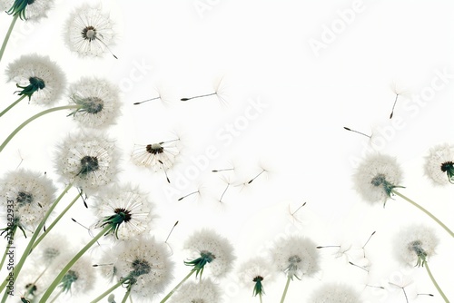 Soft and light spring background with Dandelions Generative Ai 