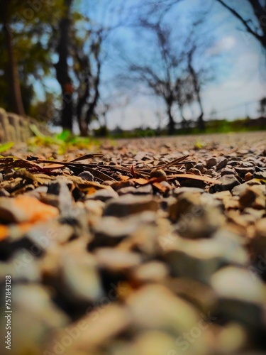 Gravel on the Pathway in the fresh park