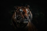 A tiger is staring at the camera in a dark room. The tiger's eyes are open and it has a fierce look on its face
