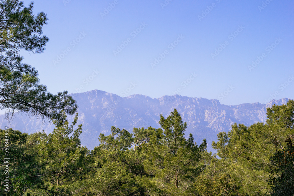 A beautiful landscape with majestic mountains covered in lush greenery under a clear blue sky. Kemer, Turkey.