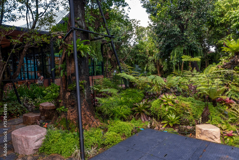 Fototapeta premium tropical garden