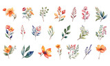 Isolated cute watercolor flowers elements