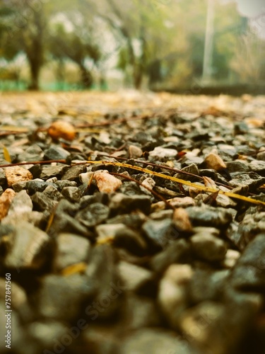 An Abstract Closeup Of Gravel On The Ground 
