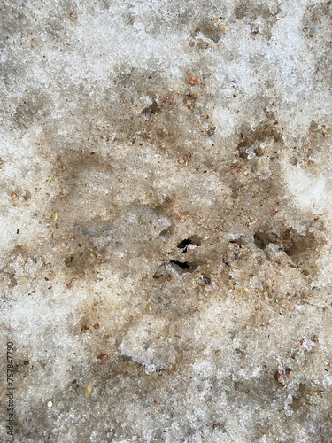 texture of dirty fallen snow in winter