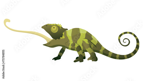 Chameleon lizard. Reptiles with curved tail and camouflage skin, tropical wildlife. Vector exotic animal illustration