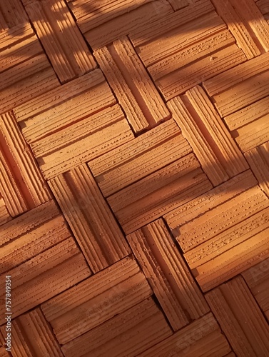 Paving bricks as a walkway