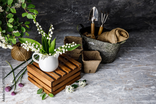 Bouquet spring white Lily of the valley. Floral still life on gray wooden board table in rustic style. Blooming branch bush with flowerbed gardening flower-growing.