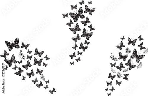 Fluttering Butterflies, Butterfly, Butterfly Swarm, Butterfly Silhouette