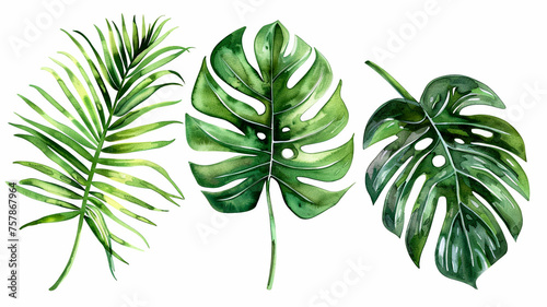 collection of watercolor of exotic plants and palm leaves.