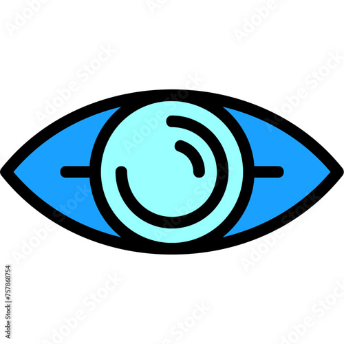 Eye Icon