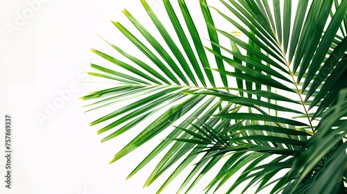Fresh Palm Leaves in a Breeze Generative AI