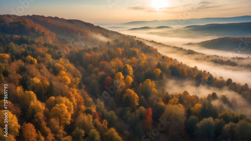 Aerial view of autumn forest at morning  photo