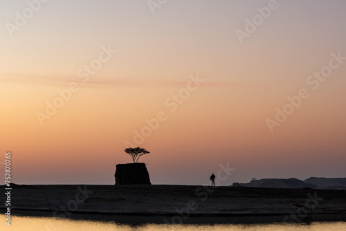 Lonely Tree on Rock. clay quarry Umbab Qatar photo
