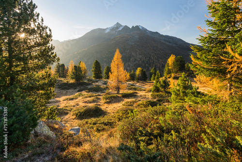 Kahorn, Villgrater Berge, Osttirol, Tirol, Österreich photo