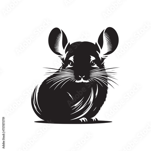 Charming Chinchilla: Chinchilla vector Silhouette Illustration Perfect for Nature, Pet, and Animal Lover Projects.