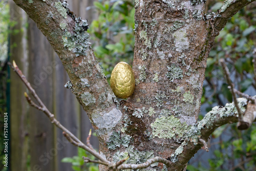 Chocolate egg hidden between the branches of a tree for Easter