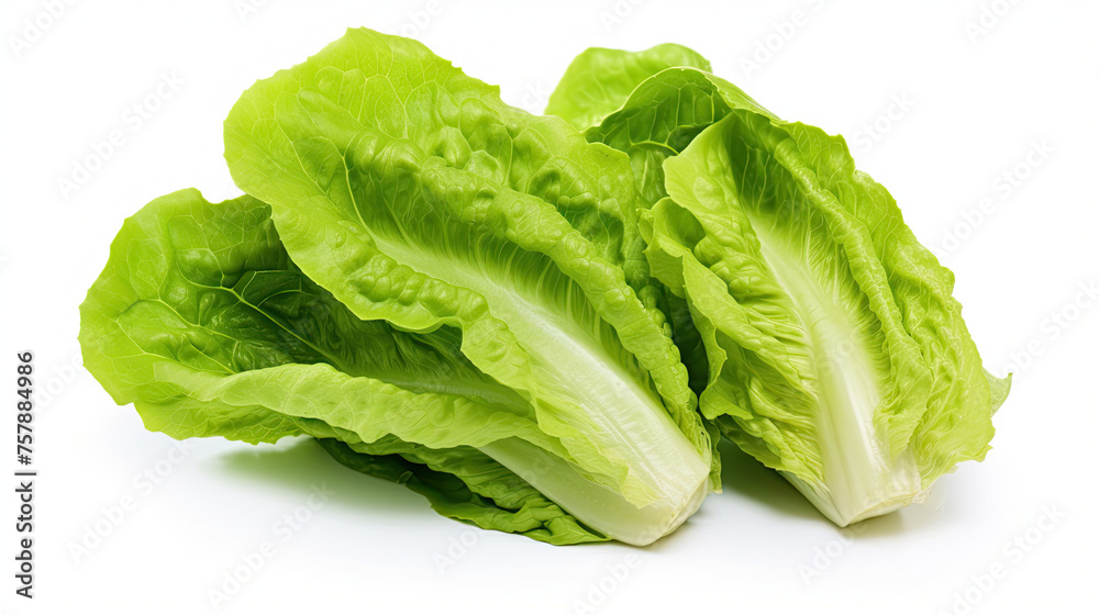 Green lettuce Isolated on white background Green lettuce Isolated on white background