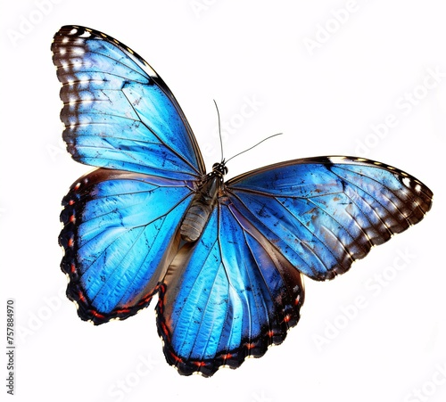 Fly Away A Blue Butterfly s Journey in Time for Spring Generative AI