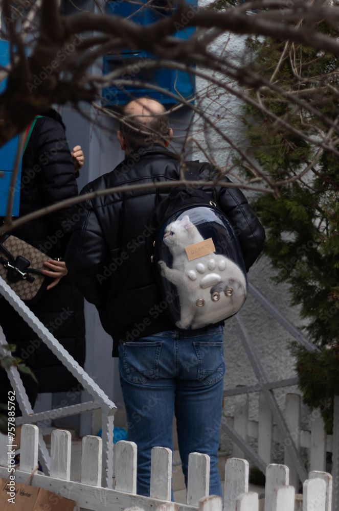 Cat in the bag. Vertical photo of the white cat named Romeo in the bag went to the vet with its owners Cat in the bag. Vertical photo of the white cat named Romeo in the bag went to the vet with its owners