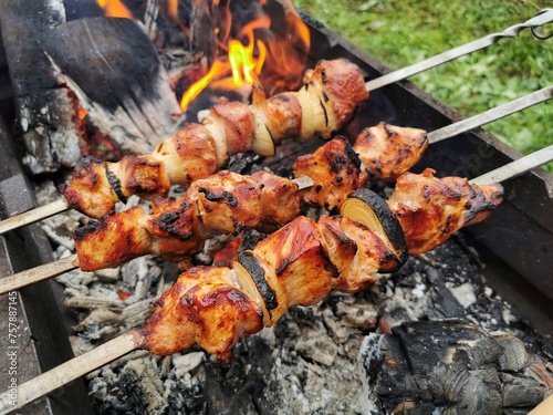 Shish kebab made from pieces of meat with onions on skewers, fried to a crust on fire with coals on the grill on a background of green grass