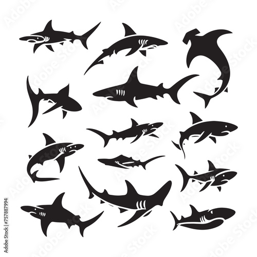 Hammerhead Horizon: Vector Silhouettes of Sleek Shark for Oceanic Enthusiasts and Creative Designs, Hammerhead shark vector illustration.