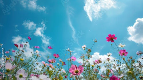 Low angle shot of a blooming flowers under a blue sky ,generative ai, generative,ai 